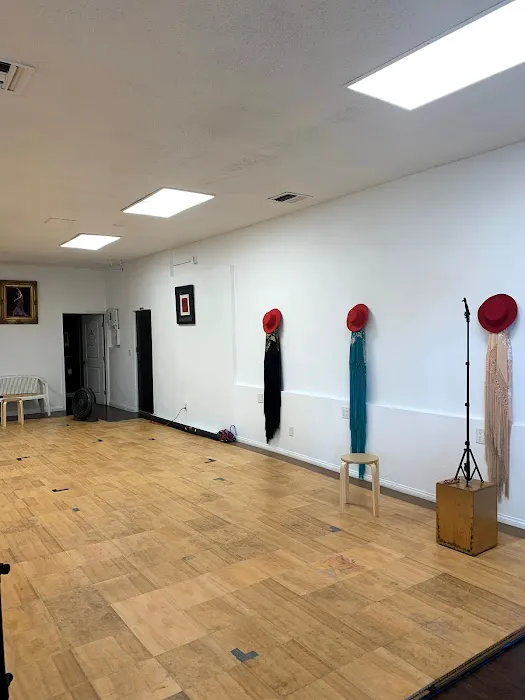 Esencia Flamenca Dance Company and School Picture 5