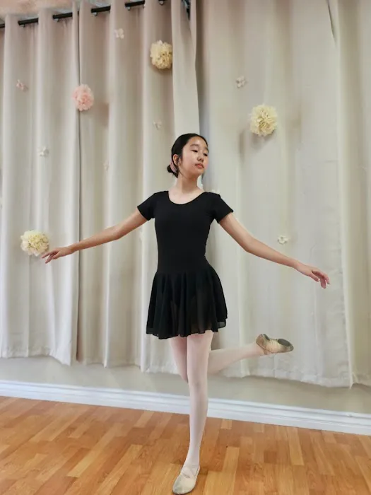Yunis Musical& Ballet dance academy Picture 3