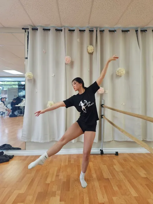 Yunis Musical& Ballet dance academy Picture 2