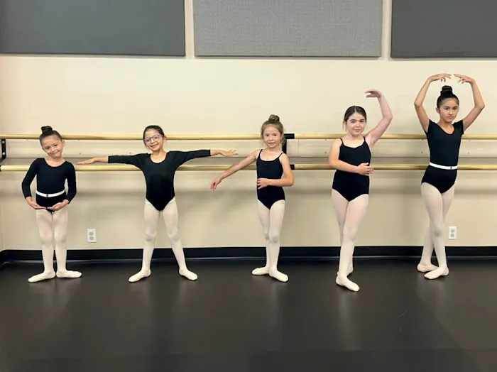 Independent Artist Academy Picture 6