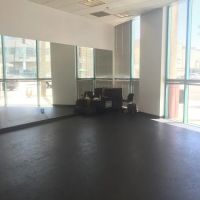 LIV'ART DANCE STUDIO ico