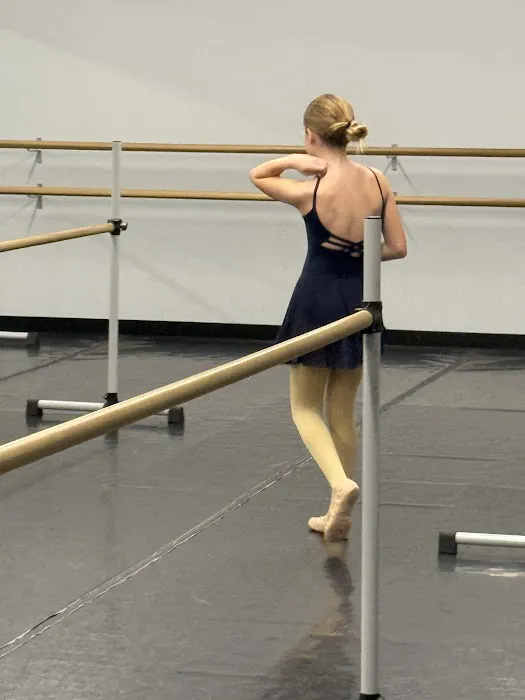 Academy 831 Picture 7