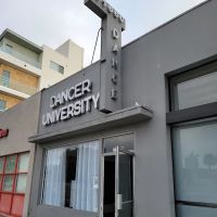 Dancer University ico