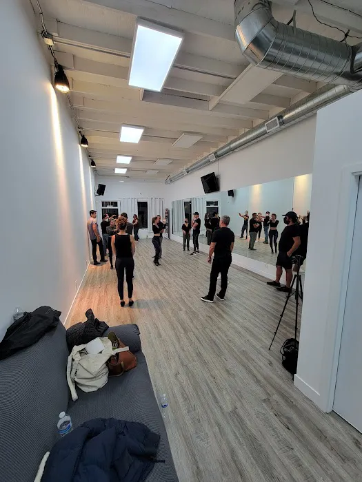 Dancer University Picture 5