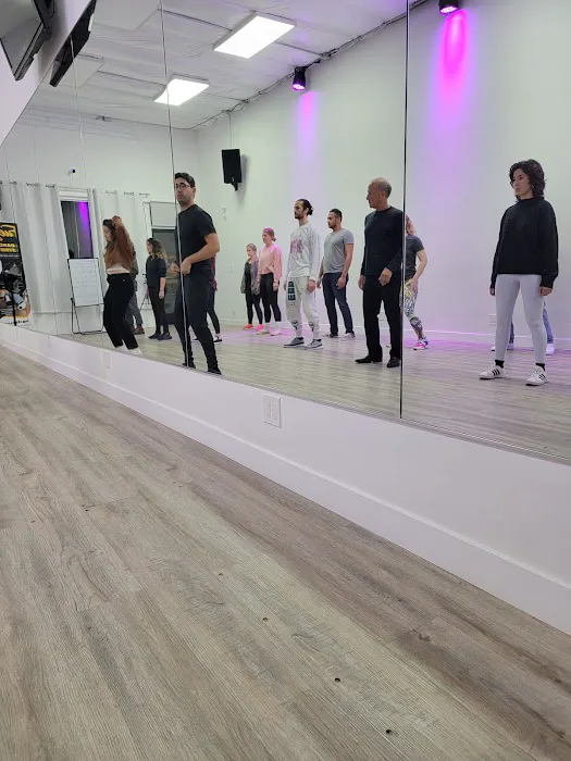 Dancer University Picture 4