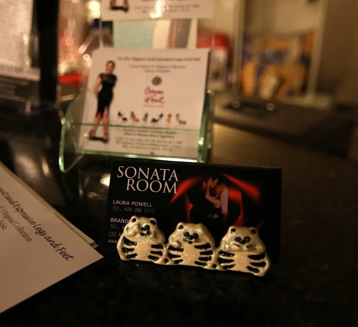 The Sonata Room / Latin Dance Pros Picture 8