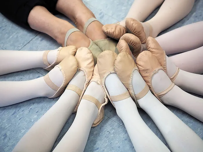 California DanceArts & California Contemporary Ballet Picture 9