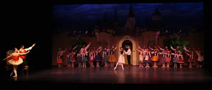 California DanceArts & California Contemporary Ballet Picture 1