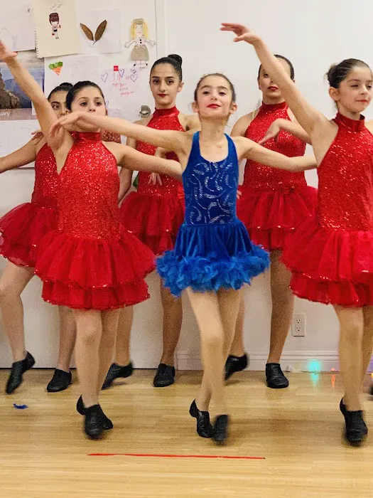 Dance With Ani Studio Picture 5
