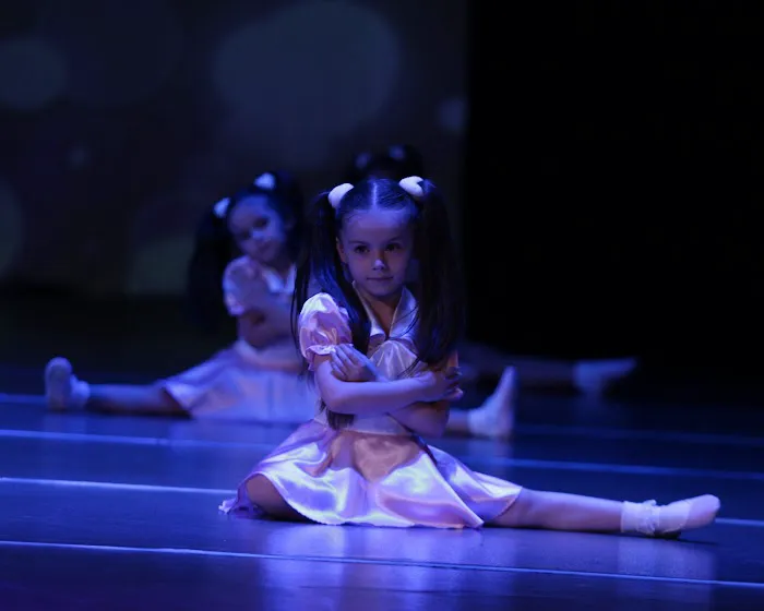 Mkhitaryan Dance Studio Picture 7