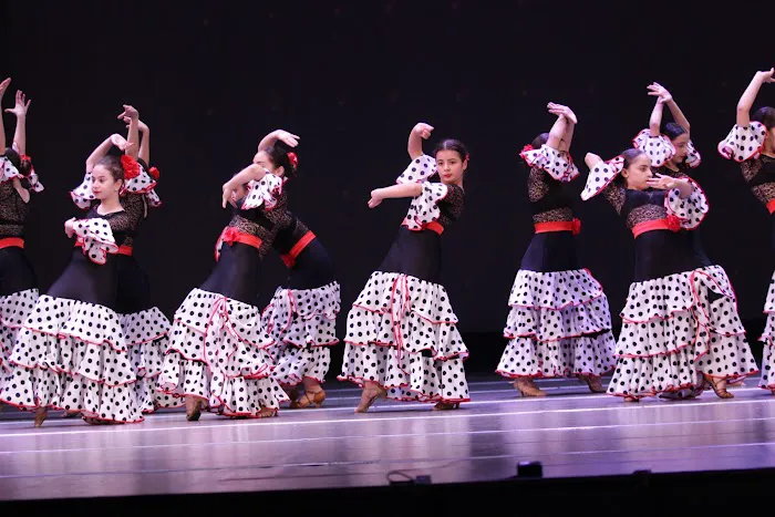 Mkhitaryan Dance Studio Picture 1