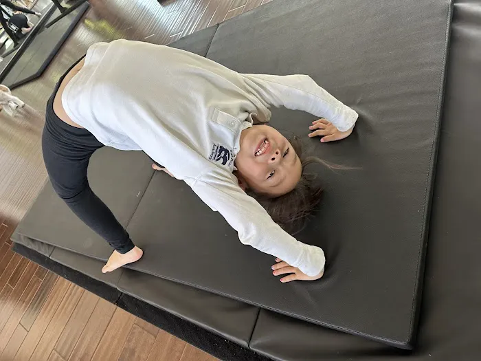Dancing Kitty Yoga Studio Picture 7