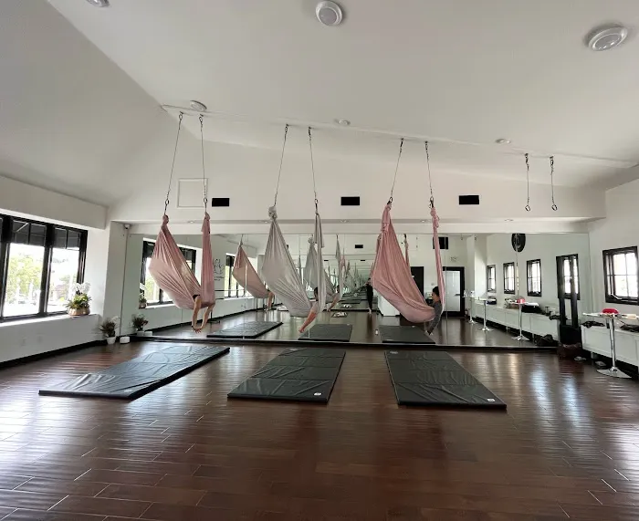 Dancing Kitty Yoga Studio Picture 10