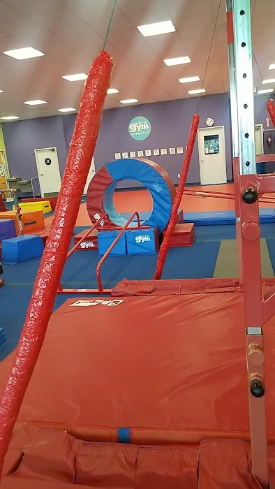 The Little Gym of Lakewood Picture 4