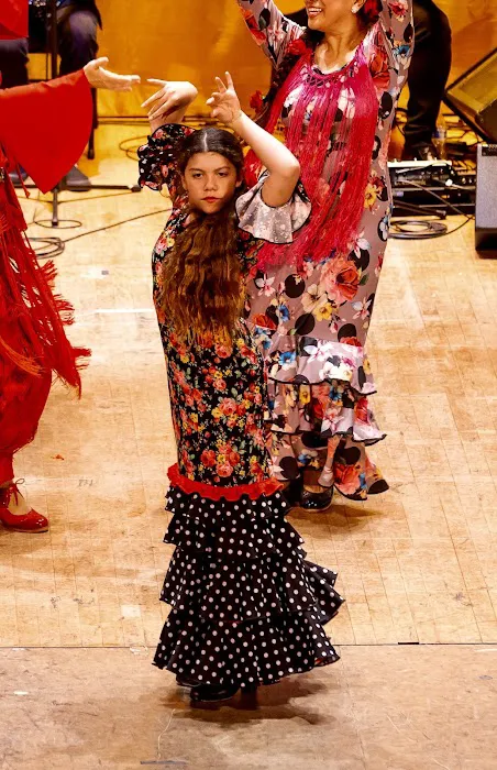 Esencia Flamenca Long Beach Picture 5