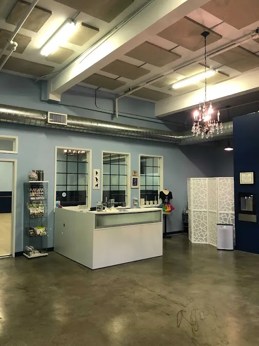 The Pretenders Studio Inc Picture 2