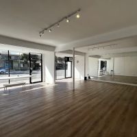 LA Salsa and Bachata Dance Academy ico