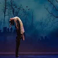 West Coast Ballet ico
