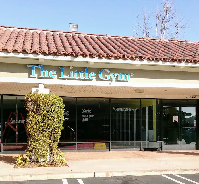 The Little Gym of Torrance Picture 2