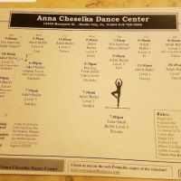 Anna Cheselka Dance Center ico