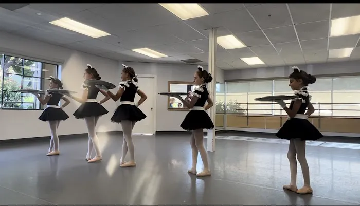 The Dance Center Picture 1