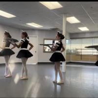 The Dance Center ico