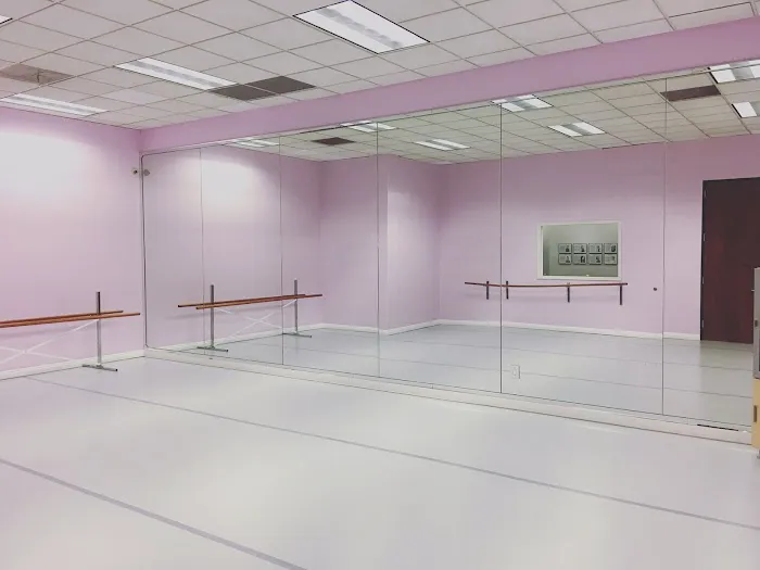 Dancecapade Picture 3