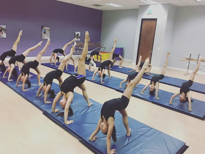 Dancecapade Picture 6