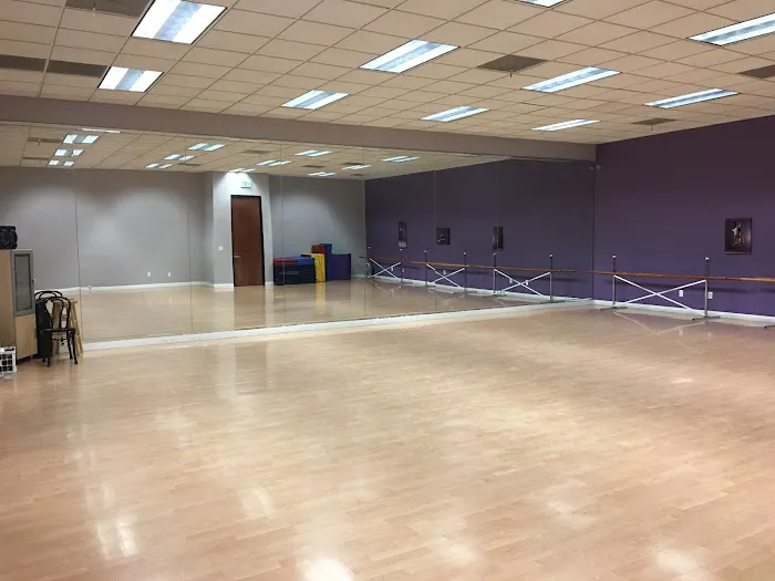 Dancecapade Picture 2