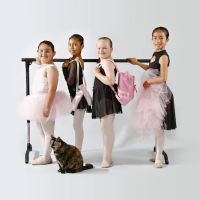 Lois Ellyn Ballet Studio ico