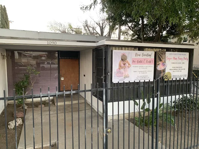 Lois Ellyn Ballet Studio Picture 6