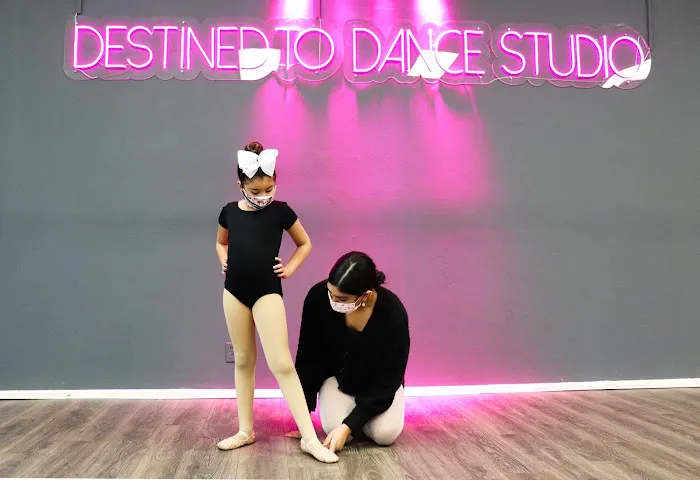 Destined to Dance Studio Picture 9
