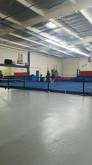 Art of Dance & Ballet Academy Inc Picture 2
