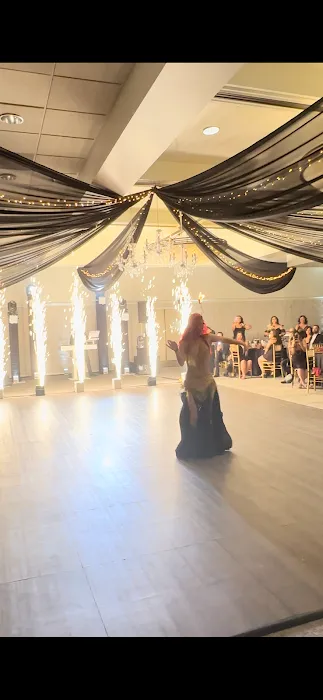 Belly Dancers OC Picture 8