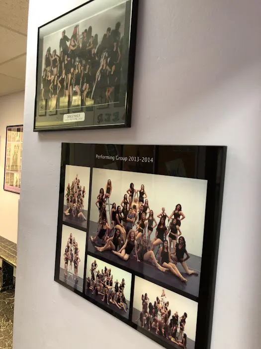 Dancemaker Picture 6