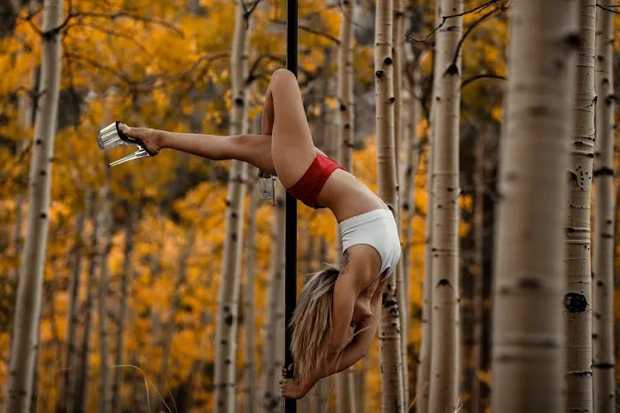 Siren Pole Dance Picture 2