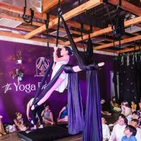 The Yoga Dance Co ico