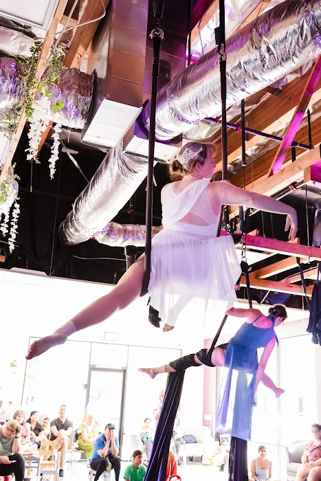The Yoga Dance Co Picture 2