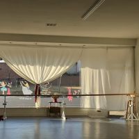 Arcadia Ballet ico
