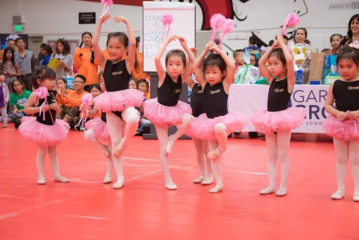 Charade Dance Academy Picture 8