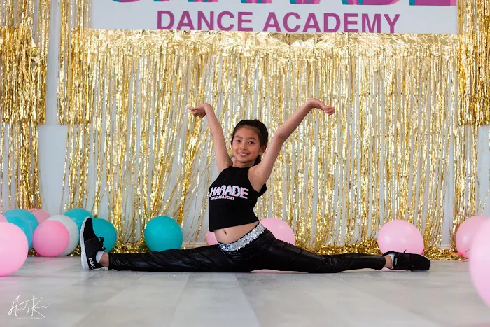 Charade Dance Academy Picture 6