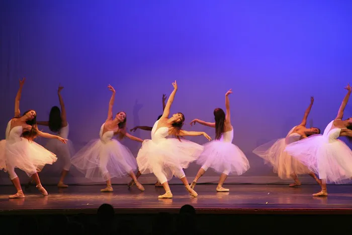 Anaheim Ballet Picture 1