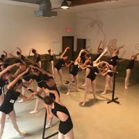 Momentum Dance & Performing Arts Center ico