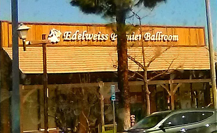 Edelweiss Premier Ballroom Picture 1