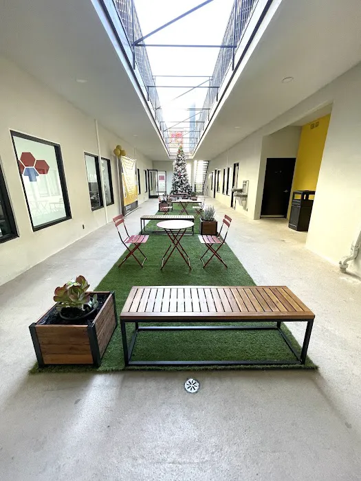 Bee Music Art Culture Center Picture 8