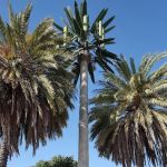 Clifton Dance Project