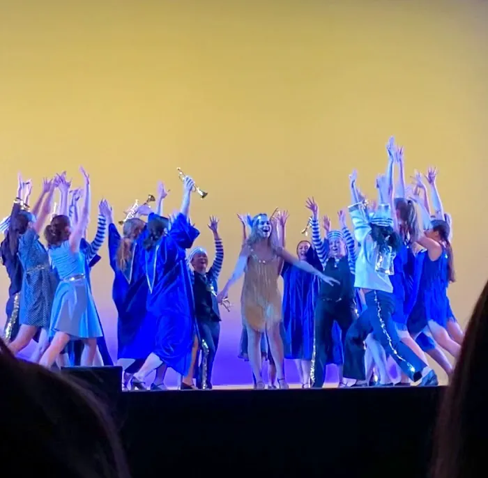 Academy For the Performing Arts Picture 2
