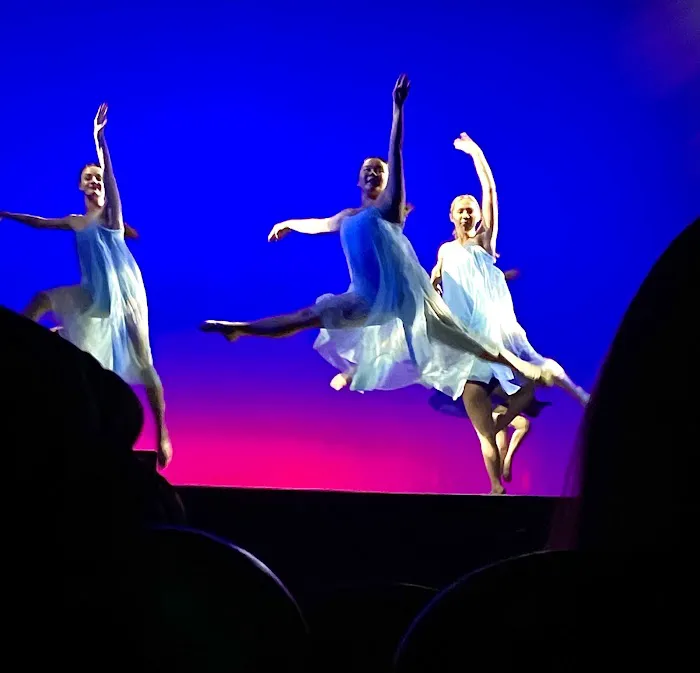 Academy For the Performing Arts Picture 4