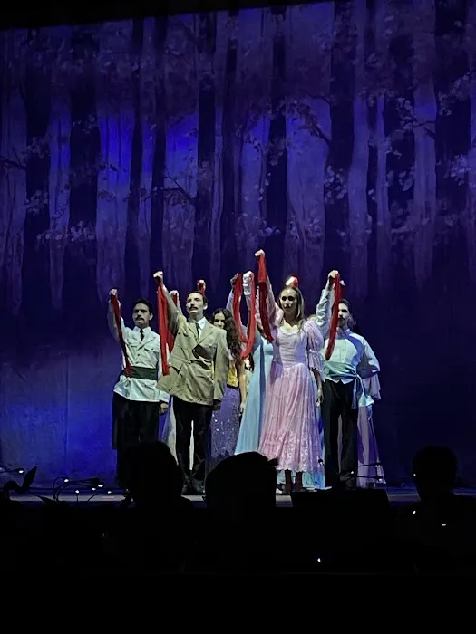 Academy For the Performing Arts Picture 9