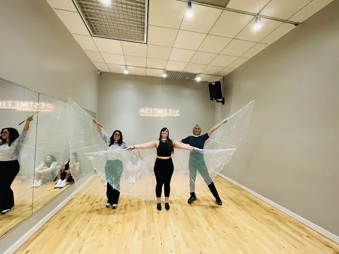 Aesthetic Dance Studios Picture 2
